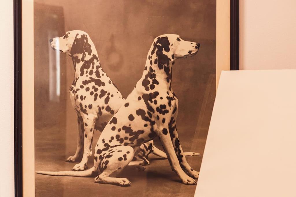 Art Studio Myslym Shyri Tirana Zewnętrze zdjęcie