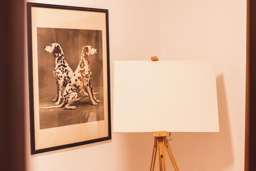 Art Studio Myslym Shyri Tirana Zewnętrze zdjęcie